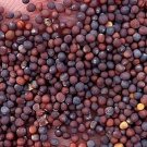 3000Pcs A Set Brassica rapa pekinensis seed ProQgf