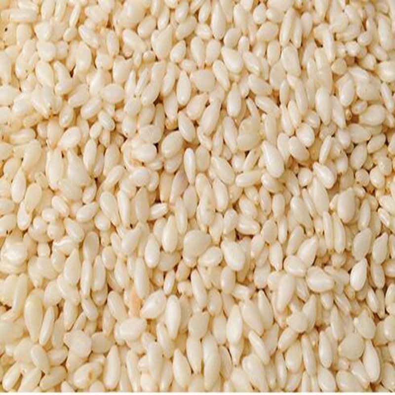 8000Pcs A Set white seasame seed ProQgf