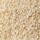 8000Pcs A Set white seasame seed ProQgf