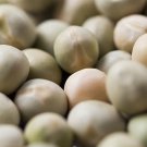 500Pcs A Set Pisum sativum seed ProQgf