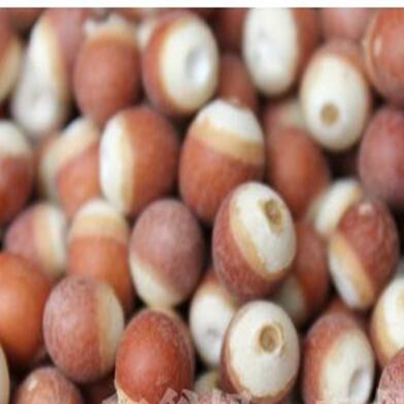 300Pcs A Set Euryale ferox  seed ProQgf