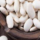 300Pcs A Set Phaseolus vulgaris seed ProQgf