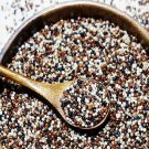 2000Pcs A Set Chenopodium quinoa seed ProQgf