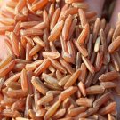 2000Pcs A Set red rice seed ProQgf