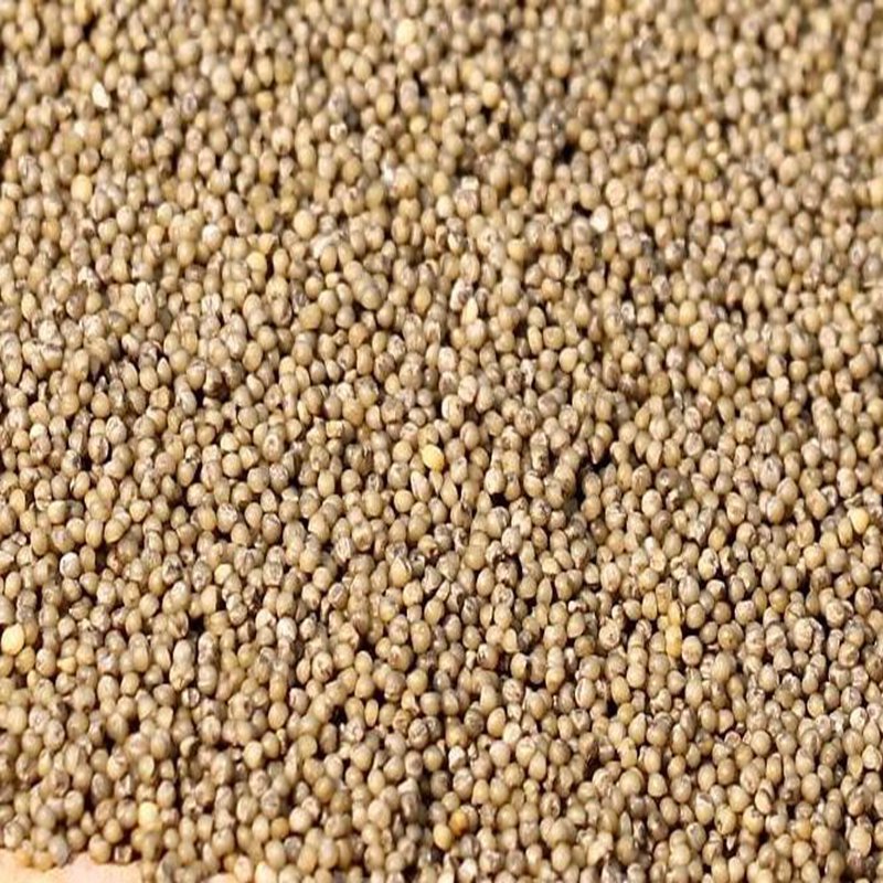5000Pcs A Set black little rice seed ProQgf