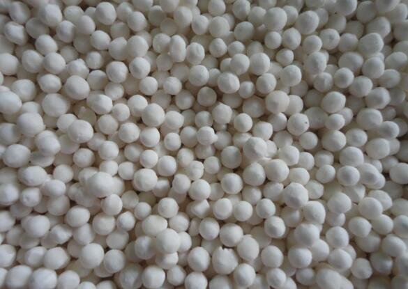 500Pcs A Set Metroxylon seed ProQgf