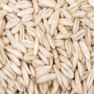 5000Pcs A Set oat seed ProQgf