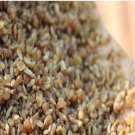 3000Pcs A Set black Fagopyrum esculentum  Seed ProQgf