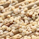 3000Pcs A Set SorghumSeed ProQgf