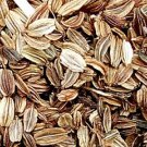 2000Pcs A Set Angelica sinensis Seed ProQgf
