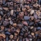 500Pcs A Set  Pyrus betulifolia Bunge Seed ProQgf