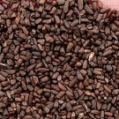 5000Pcs A Set Orychophragmus violaceus Seed ProQgf