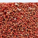 3000Pcs A Set Broussonetia papyrifera Seed ProQgf