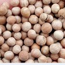 300Pcs A Set Swida wilsoniana Seed ProQgf