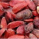 60Pcs A Set Magnolia Grandiflora  Seed ProQgf