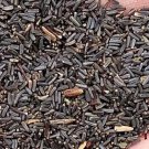 6000Pcs A Set Rudbeckia hirta Seed ProQgf