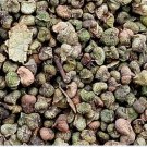 600Pcs A Set Zelkovaschneideriana Seed ProQgf