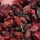 300Pcs A Set Berberis thunbergii Seed ProQgf