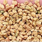 1000Pcs A Set Trigonella foenum-graecum Seed ProQgf