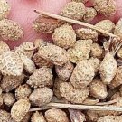 500Pcs A Set Hedysarum scoparium Seed ProQgf