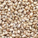 3000Pcs A Set Pennisetum sinese Seed ProQgf