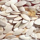 1000Pcs A Set Cucumis sativus Seed ProQgf