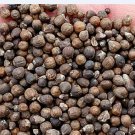 2000Pcs A Set Vitex negundo Seed ProQgf