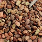 300Pcs A Set Cotinus coggygria Seed ProQgf