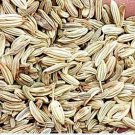 3000Pcs A Set Foeniculum vulgare Seed ProQgf