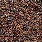 5000Pcs A Set Agastache rugosa Seed ProQgf