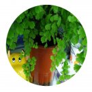 DwarfGiantFarm 100Pcs A Set Adiantum capillus-veneris Seed   ProQgf