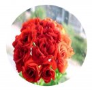 DwarfGiantFarm 100Pcs A Set Scarlet Rosebud Pelargonium Hortorum Flower Seed   Prodgf