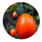 DwarfGiantFarm 200Pcs A Set Solanum pseudo-capsicumvar diflorum Seed Proqgf