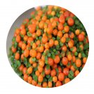 DwarfGiantFarm 200Pcs A Set Nertera depressa Banks et Soland Seed  Prodgf