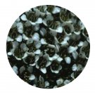 DwarfGiantFarm 200Pcs A Set Arenaria kansuensis Maxim Seed Prodgf