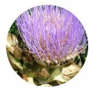 DwarfGiantFarm 200Pcs A Set CynarascolymusL Seed  Prodgf
