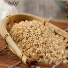 DwarfGiantFarm 3000pcs jīng mǐ rice seed