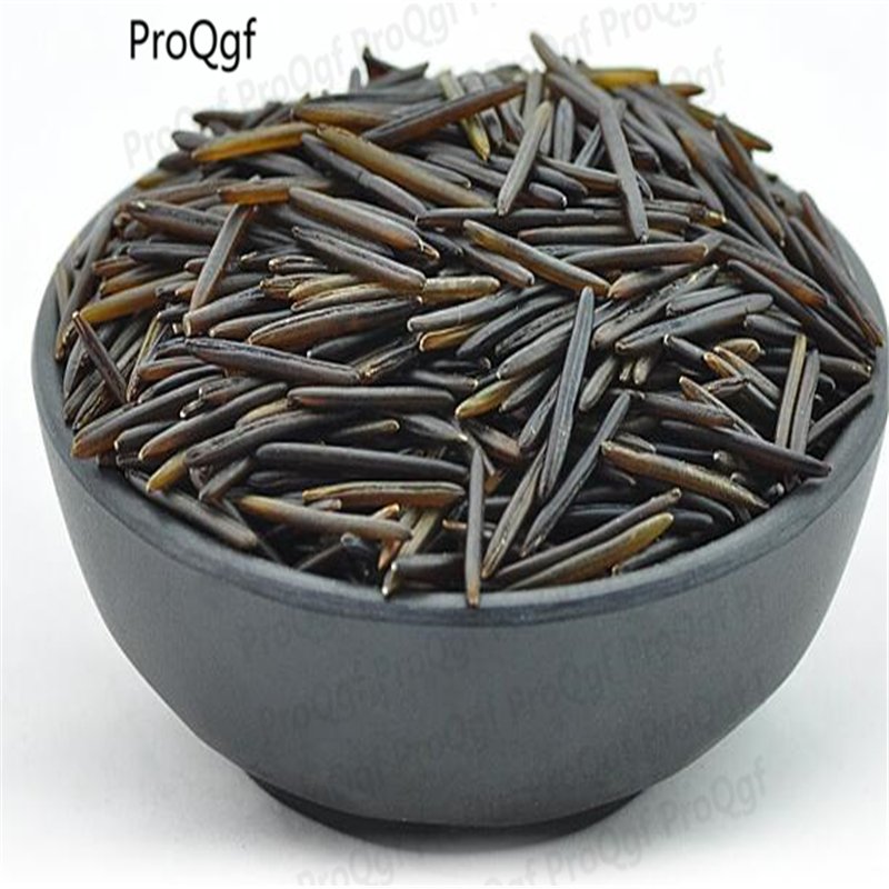 DwarfGiantFarm 3000pcs Zizania wild rice seed