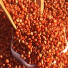 DwarfGiantFarm 3000pcs Sorghum  seed