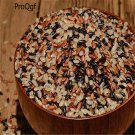 DwarfGiantFarm 3000pcs Fresh Grinding Bran Rice seed