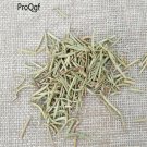 DwarfGiantFarm 8000pcs Rosmarinus officinalis seed