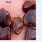 DwarfGiantFarm 200pcs Tamarindus indica seed