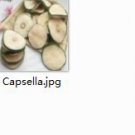 Ngryise 100gram Capsella