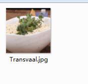 Ngryise 2pcs Transvaal plant
