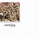 Ngryise 1000pcs a set Adonisamurensis seed