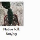 Ngryise 1pcs Native folk fan plant
