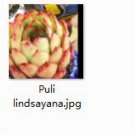 Ngryise 2pcs Puli lindsayana plant