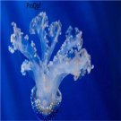 10pcs Upside-down jellyfish egg