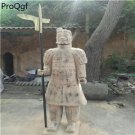 Terracotta Warriors Horse xi an Gift style 8