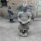 Terracotta Warriors Horse xi an Gift style 222